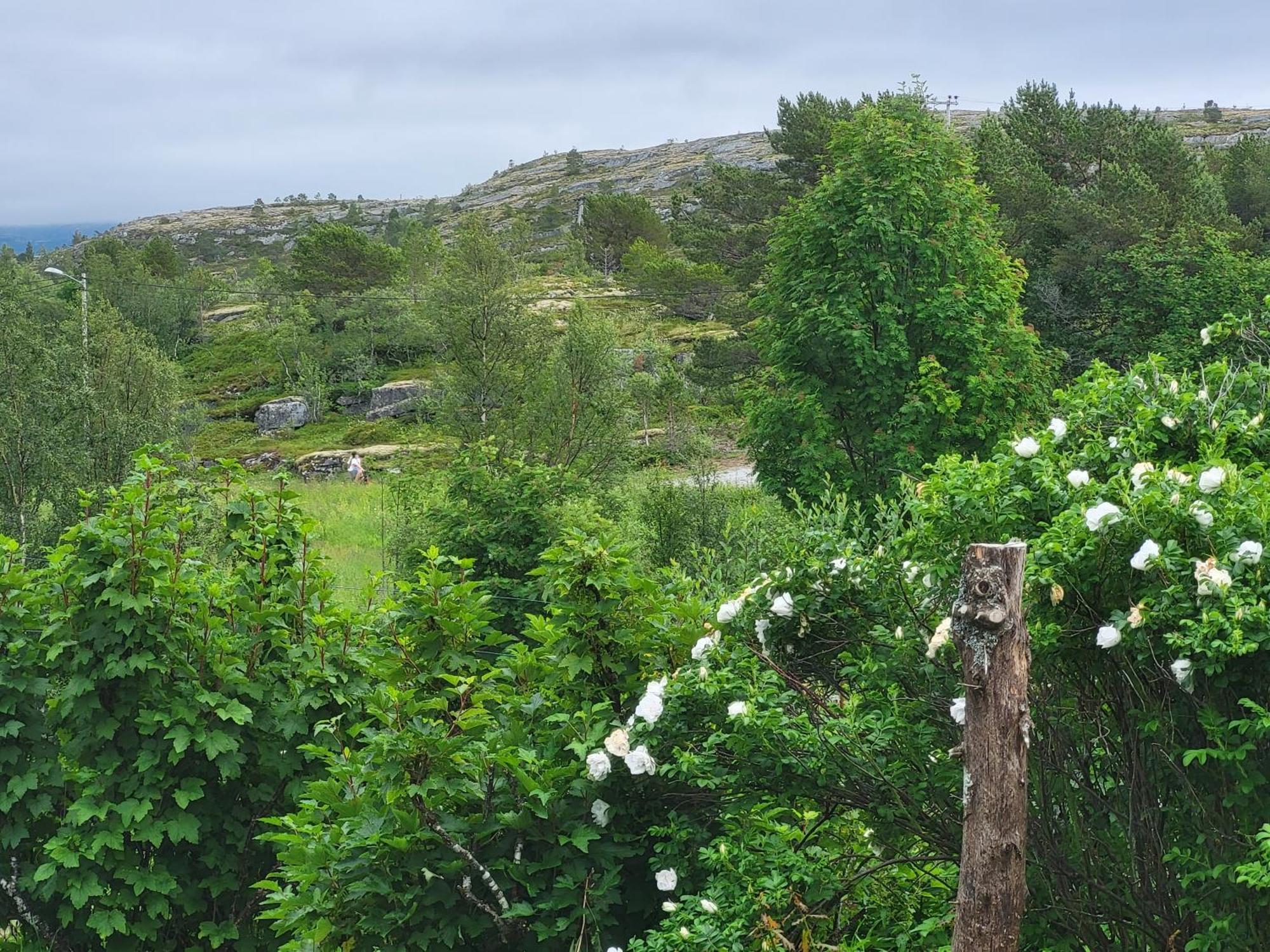 Paul'S House Villa Saltstraumen Exteriör bild